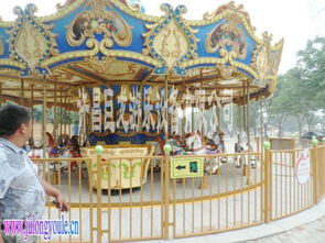 许昌巨龙游乐设备儿童娱乐设施12座 24座 32座豪华转马